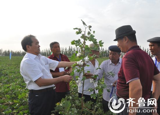 3.�����������������루��һ������ũ���ܡ���׳̬��ʾ������Ŀ�����ɼ��� ����ǿ�㣩