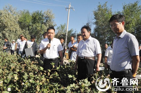 1.�����������������루ǰ�У�����������ܾ����Ŷ�����ǰ�ң���������︱�ܾ�������ի��ǰ���Ⱥ�����ũ���ܡ���׳̬��ʾ������Ŀ�����ɼ��� ����ǿ�㣩