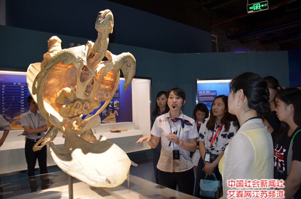 2 �οͲι���ׯ�������ز����.jpg