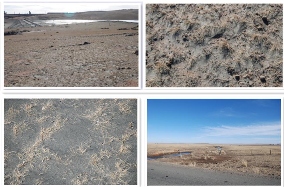 ��ͷ��ï�죺�Ƿ�����ȡ���ᡱ�����ԭ��