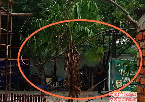 5 周金康姐夫的哥哥家在公共用地上私建的四间琉璃瓦砖房,面积约120平方米.jpg