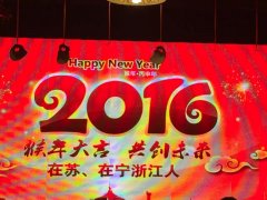 浙江人在南京2016新春团拜会成功举行