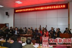 咸阳市老年学会(协会)2017年年会暨文化养老分会成立