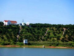 湖北宜都红花套镇移民的光景一年更比一年强