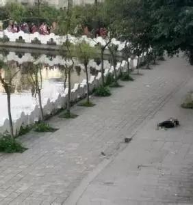 ����У԰ѧ�������¼�����ȫ����ע �Ĵ�У԰����Ϊ�ν�����������