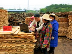 湖北宜都红花套镇财政所“走村串厂”送查询