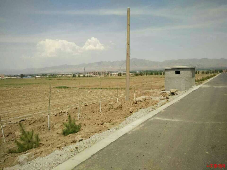 ɽ��ʡ��ͬ���������Լҹ���ũ������ȥ�δ���