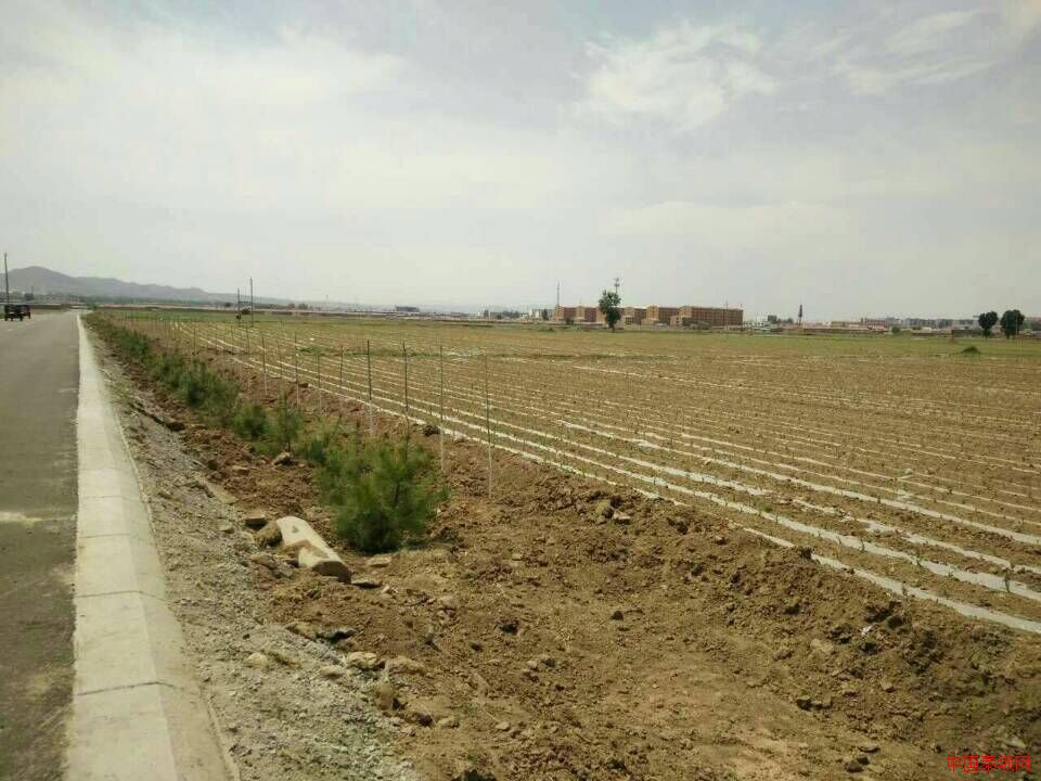 ɽ��ʡ��ͬ���������Լҹ���ũ������ȥ�δ���