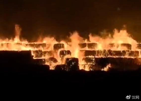 �����ֳ�