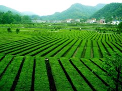 湖北宜都市财政局涉农监管“一箭三雕”