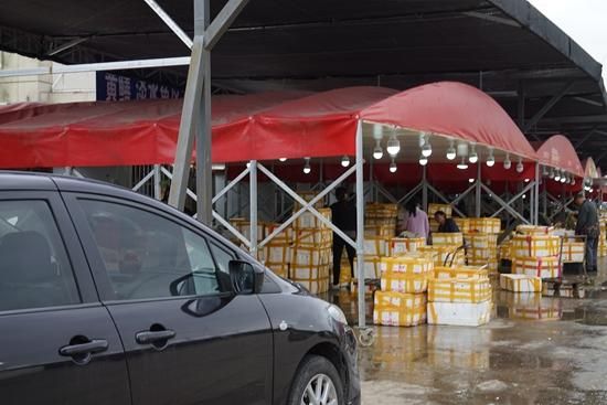 ��ɽ�������г�Υ���洦�ɼ�(һ)