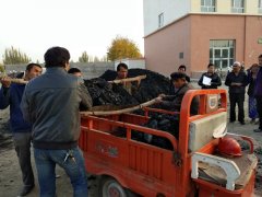 新疆沙雅县启动“四心”工程助力村民度寒冬