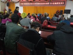 新疆沙雅:"摇钱树"助农成就脱贫致富梦想