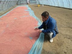 吉林珲春湖龙村李松哲被村民举报为村里的大贪官