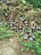 河北承德县大孤山村发展党员“派系至上”何时休?