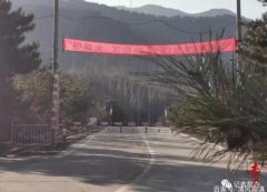 山西天镇县黑龙寺林场领导破坏生态,盗卖松树无人管