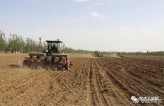 粮荒会在当今社会发生吗?