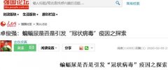 卓俊强:蝙蝠尿是否是引发“冠状病毒”疫因之探索