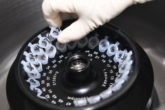 新研究:新冠病毒不大可能由蝙蝠病毒RaTG13演化而来