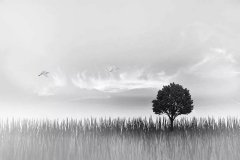 这位武汉方舱医院护士的诗,令赞美变得羞耻