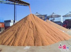 黑龙江望奎:"战疫"期间 实现特殊时期备春耕