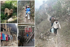 贵州思南青龙村:聚力啃下“硬骨头”