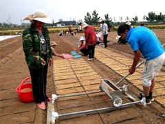 ɽ��۰�ǣ�5000Ķ��ʵ������ӡ�����������