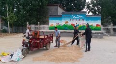 二郎庙镇助力“三夏”生产践行为民初心