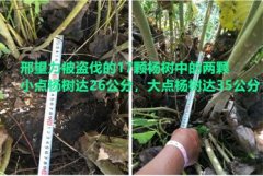 河南息县:“心善”反被诬敲诈勒索 诉诸法律却立案难