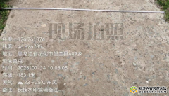 望奎县信三村宫会横行霸道村委会成了他自家的?