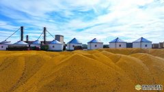 内蒙古呼伦贝尔农垦大兴安岭甘河农场喜获大丰收